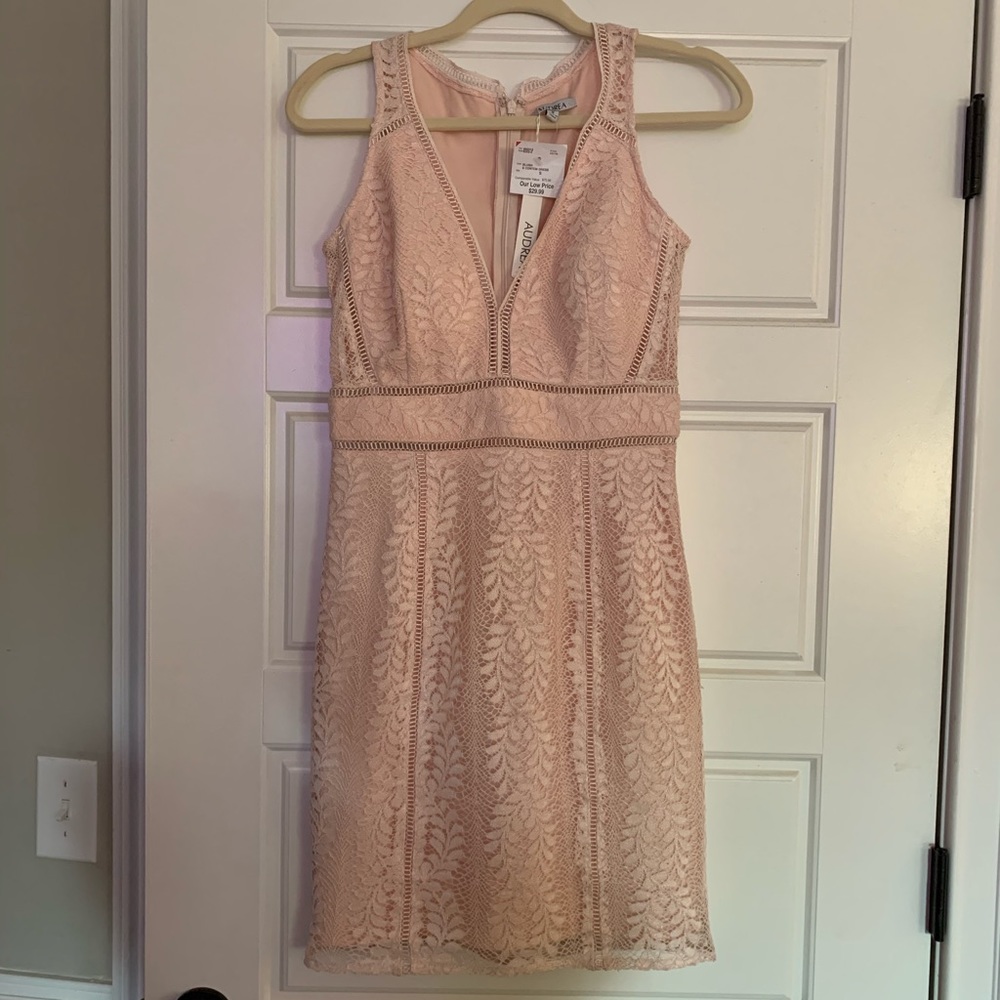 Lace Overlay Blush dress